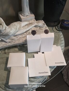 Vintage Pandora Charm Boxes Designer Pandora Storage Box Pandora Packaging